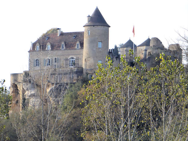 Le château de Milhac - Milhac (46300) - Lot