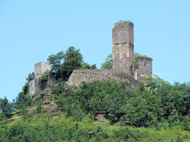 Château de Saint-Laurent-les-Tours - Saint-Laurent-les-Tours (46400) - Lot