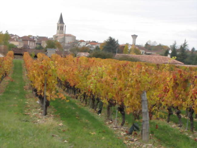 Vue générale et du vignoble de Cahors - Sauzet (46140) - Lot