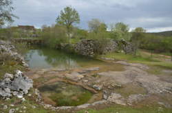 photo Ouvrier / Ouvrière de scierie