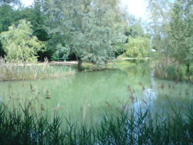 Lac de Flottis - Foulayronnes (47510) - Lot-et-Garonne