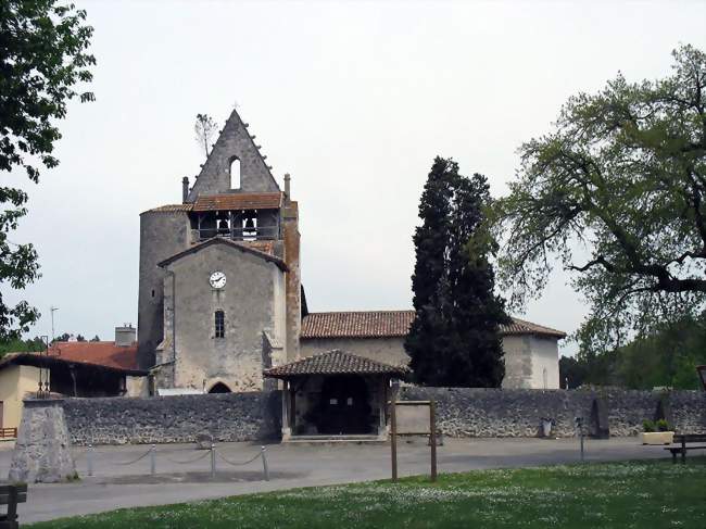 Le pin qui pousse sur le clocher - Pompogne (47420) - Lot-et-Garonne