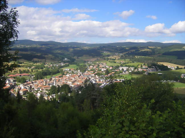 Vue générale - Le Malzieu-Ville (48140) - Lozère