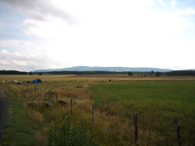 Le Causse de Montbel - Montbel (48170) - Lozère