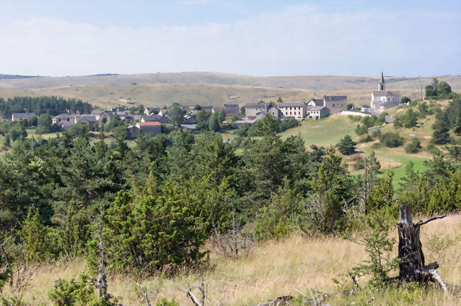 Mas-Saint-Chely, sur le causse Mejean - Mas-Saint-Chély (48210) - Lozère