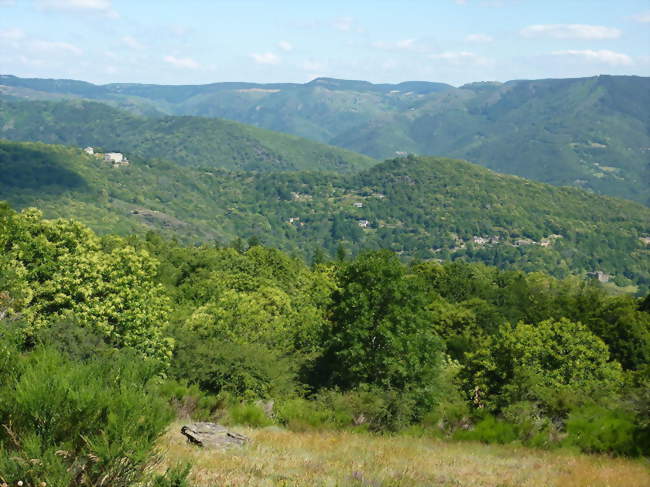 La Vallée française vue de la Corniche des Cévennes - Sainte-Croix-Vallée-Française (48110) - Lozère