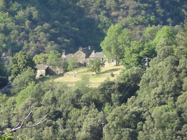 Hameau du Viala à Saint-Frézal-de-Ventalon - Saint-Frézal-de-Ventalon (48240) - Lozère