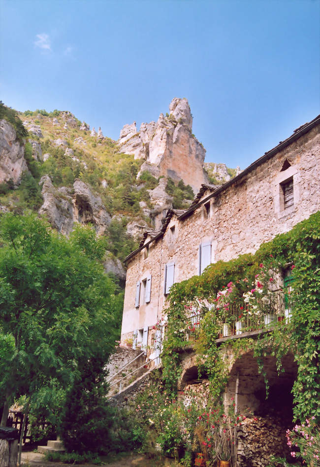 Saint-Hilaire-de-Lavit - Saint-Hilaire-de-Lavit (48160) - Lozère