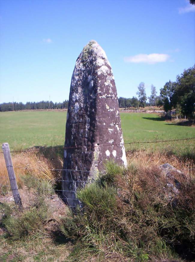 Le menhir de Pinjo Chabre - Saint-Pierre-le-Vieux (48200) - Lozère