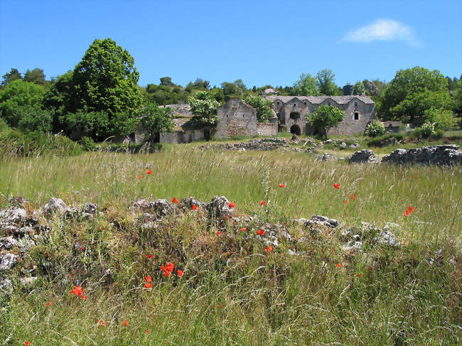 Saint-Rome-de-Dolan - Saint-Rome-de-Dolan (48500) - Lozère