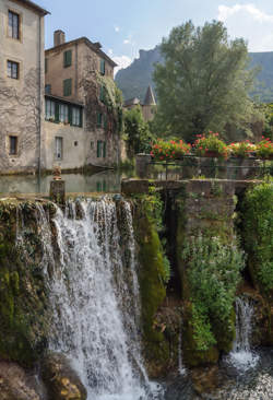 photo FESTIVAL CONTES ET RENCONTRES : L'UTOPIE DES ARBRES