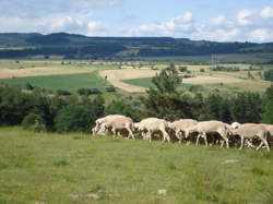 photo Fontanes