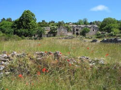 photo Saint-Rome-de-Dolan