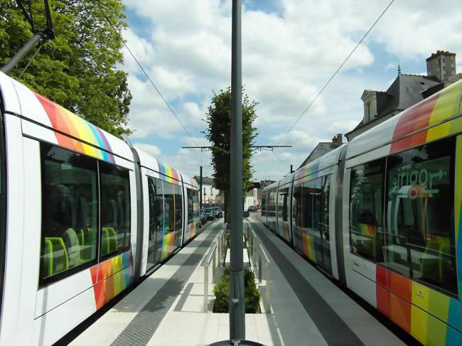 Tramway à la station Bascule à Avrillé - Avrillé (49240) - Maine-et-Loire