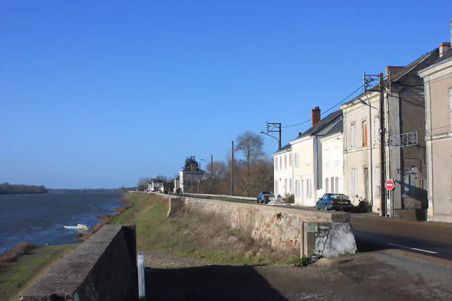 La levée Jeanne de Laval, le long de la Loire - La Bohalle (49800) - Maine-et-Loire