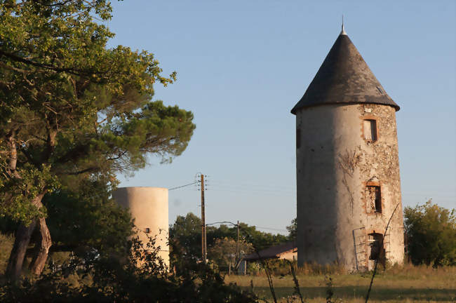 Moulins de Péronne - Chanteloup-les-Bois (49340) - Maine-et-Loire