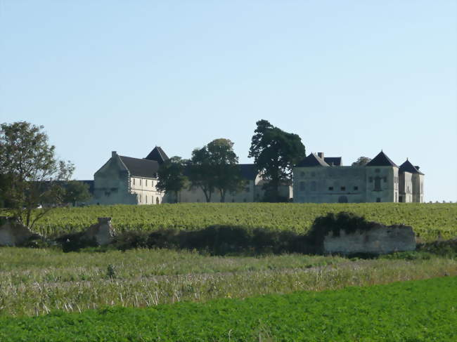 Le château de Pimpéan - Grézillé (49320) - Maine-et-Loire