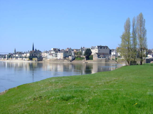 Vue générale d'Ingrandes (Maine-et-Loire) (La Loire à gauche et la boire de Champtocé à droite) - Ingrandes (49123) - Maine-et-Loire