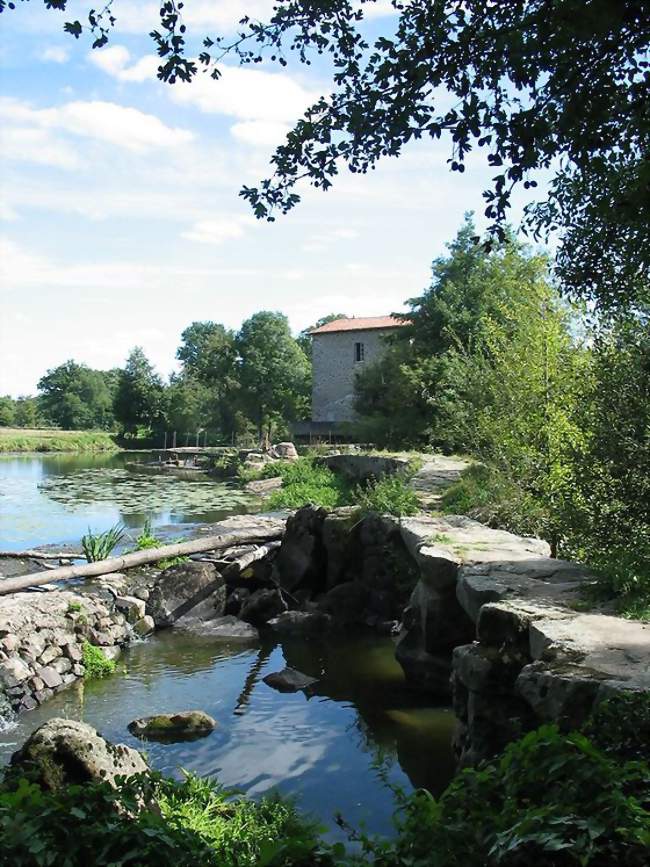 Sèvre Nantaise - Le Longeron (49710) - Maine-et-Loire