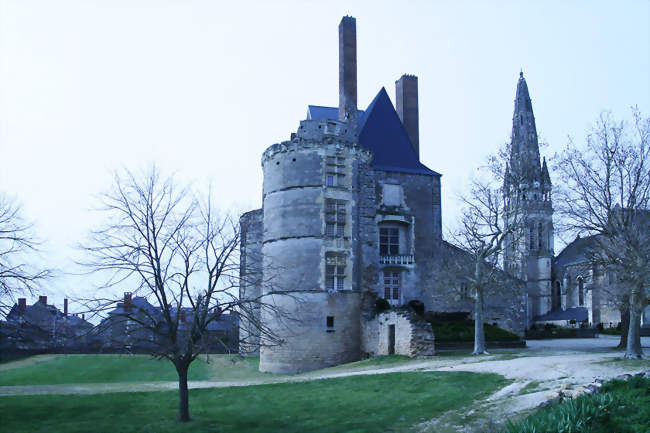 Château de Martigné-Briand - Martigné-Briand (49540) - Maine-et-Loire