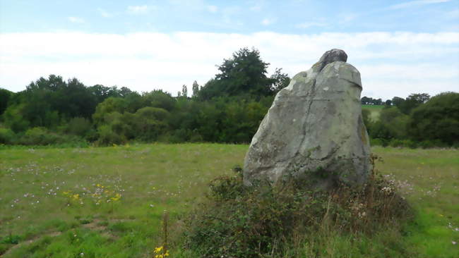 Menhir de la Pierre au sel - Maulévrier (49360) - Maine-et-Loire