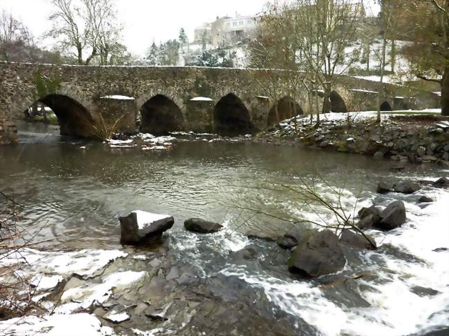 Pont de Bohardy sur l'Èvre - Montrevault (49110) - Maine-et-Loire