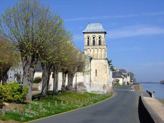 Les bords de Loire dans le village du Thoureil - Le Thoureil (49350) - Maine-et-Loire