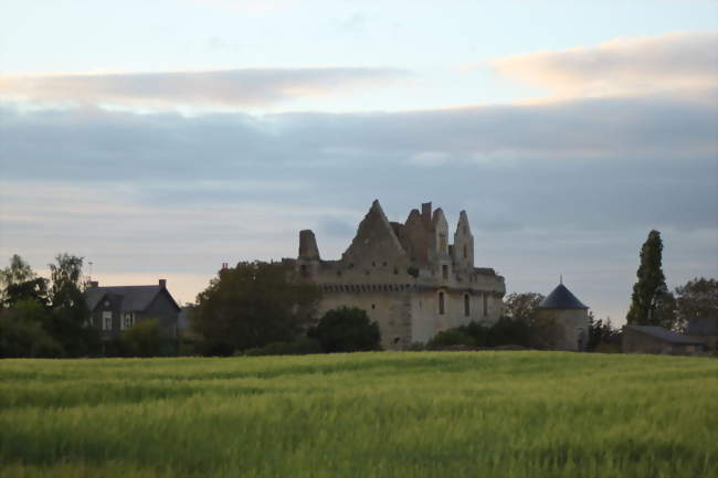 Ruines du château du Grand-Rioux - Tigné (49540) - Maine-et-Loire