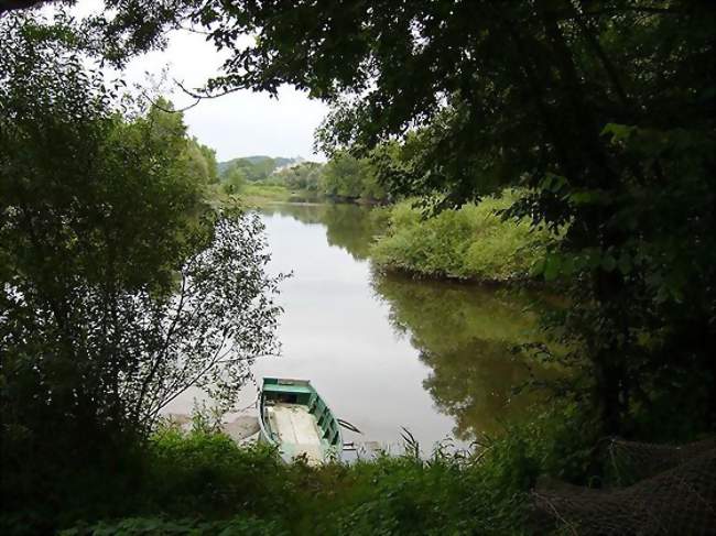 La Divatte à droite se jetant dans la Loire à gauche, le village de La Varenne au second plan - La Varenne (49270) - Maine-et-Loire