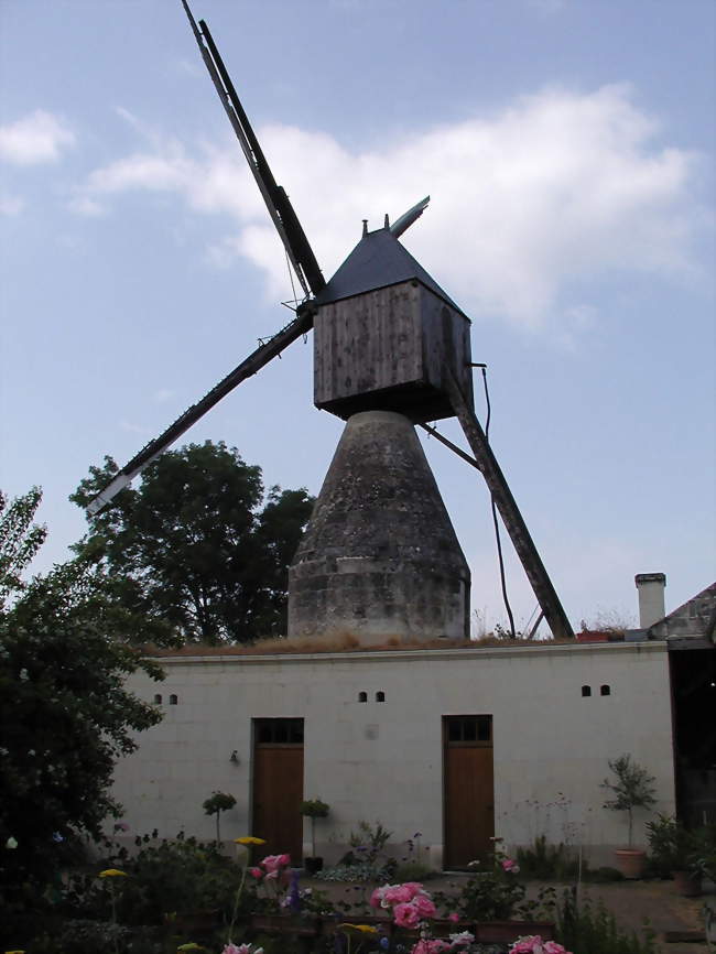 Moulin cavier, « Le Champ-des-Îles » - Varennes-sur-Loire (49730) - Maine-et-Loire