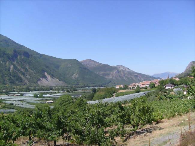 Sur les rives de la Durance vignes et vergers - Remollon (05190) - Hautes-Alpes