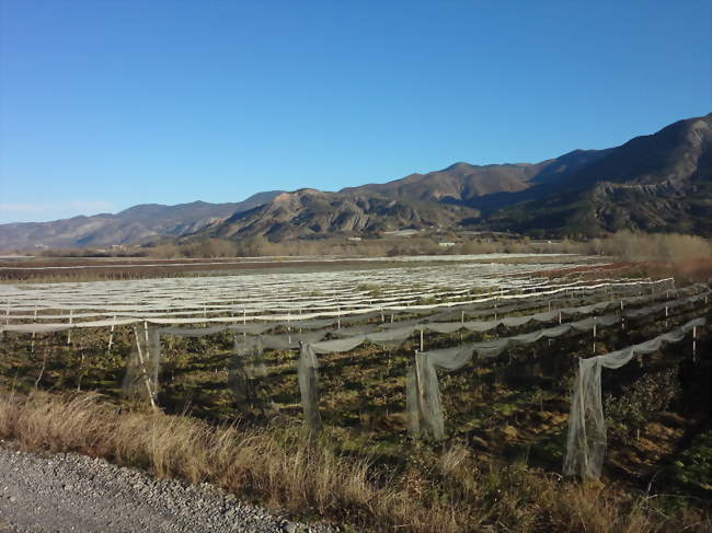 Vitrolles - Vitrolles (05110) - Hautes-Alpes