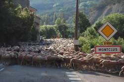 photo Montclus