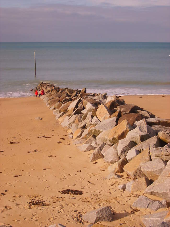 Promenade à cheval - débutant