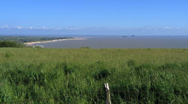 Alentours de Dragey-Ronthon - Crédits:Ludwig-Maurice/Panoramio/CC by SA