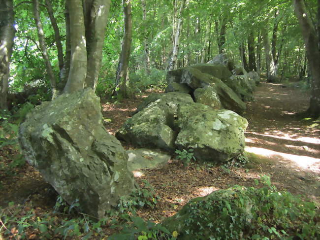 L'allée couverte de la Petite Roche - Rocheville (50260) - Manche