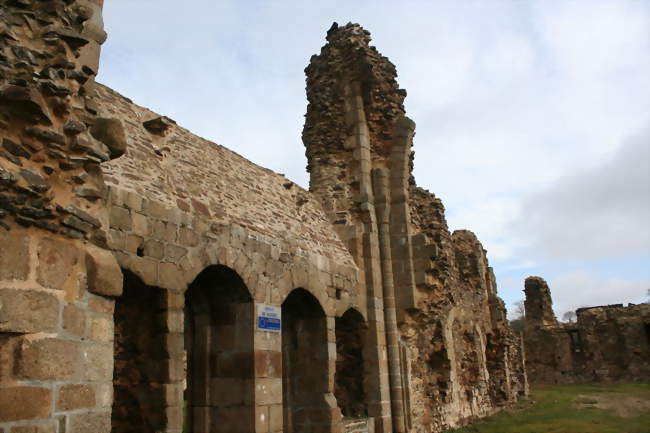 Ruines de l'abbaye - Savigny-le-Vieux (50640) - Manche