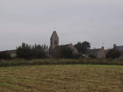photo Canteloup