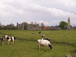 photo Sur les traces de St-Gerbold à Gratot