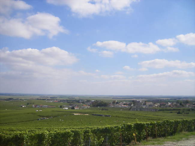 La Bullecyclette - La balade à vélo rétro dans le vignoble de Champagne