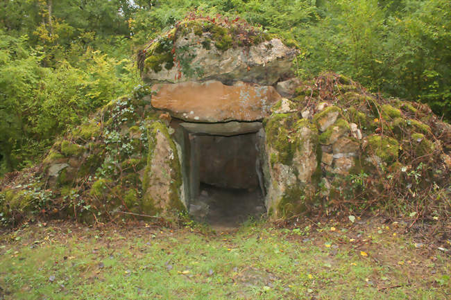 Le dolmen du Reclus - Bannay (51270) - Marne