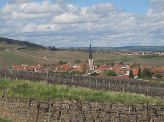 Vue du village de Chamery, dans la Montagne de Reims - Chamery (51500) - Marne