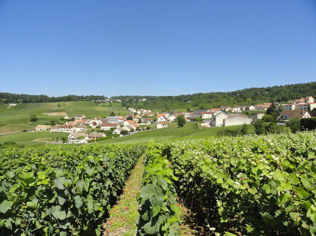 La champagne au patrimoine mondial fête ses 10 ans
