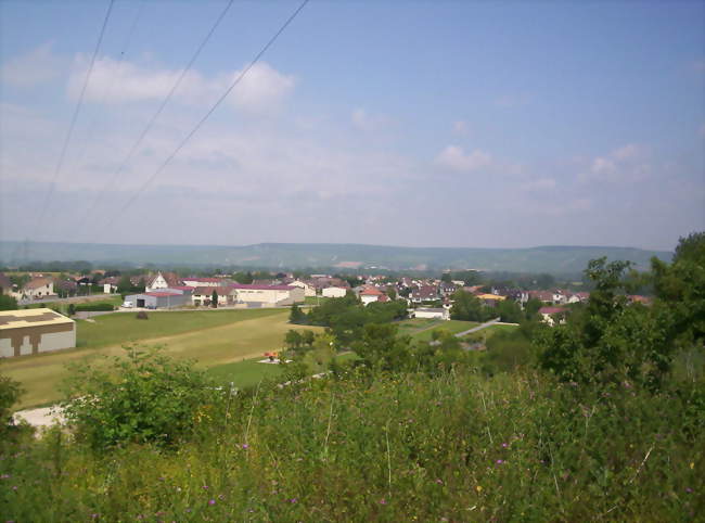 Chouilly, vue depuis « la Montagnotte » - Chouilly (51530) - Marne