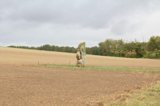 Le menhir de l'étang de Chénevry, à Congy - Congy (51270) - Marne