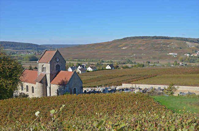 Le vignoble et la vallée de la Marne à Courthiézy - Courthiézy (51700) - Marne