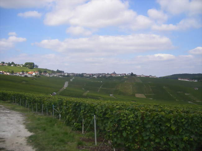 Cramant, vue depuis les vignes - Cramant (51530) - Marne