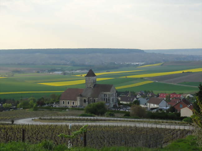 Vue de Cuis depuis la montagne d'Avize - Cuis (51530) - Marne
