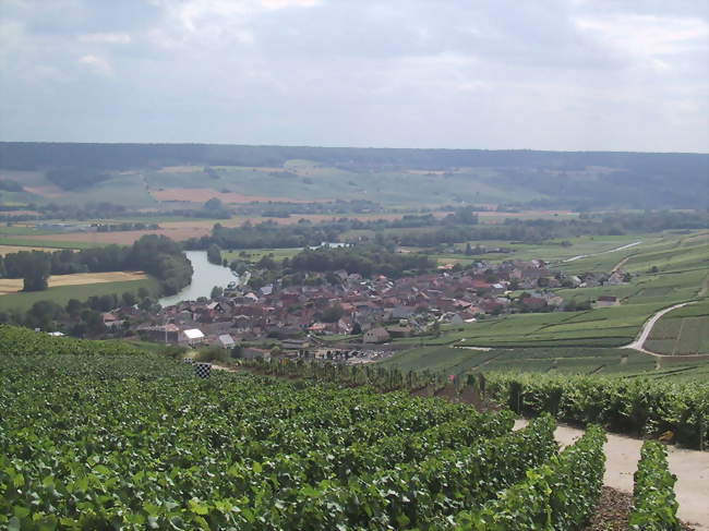 Cumières, vue depuis le vignoble - Cumières (51480) - Marne