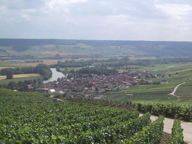 Un Vigneron, Une Histoire - Champagne Laval Louïs